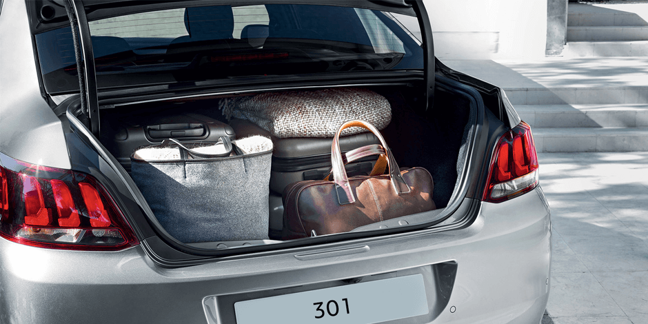 Peugeot 301 Diesel Manual - 2019 Model Winter/Snow Tire